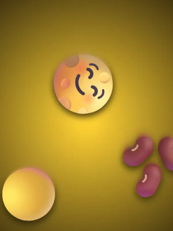 Bean Hold Charge