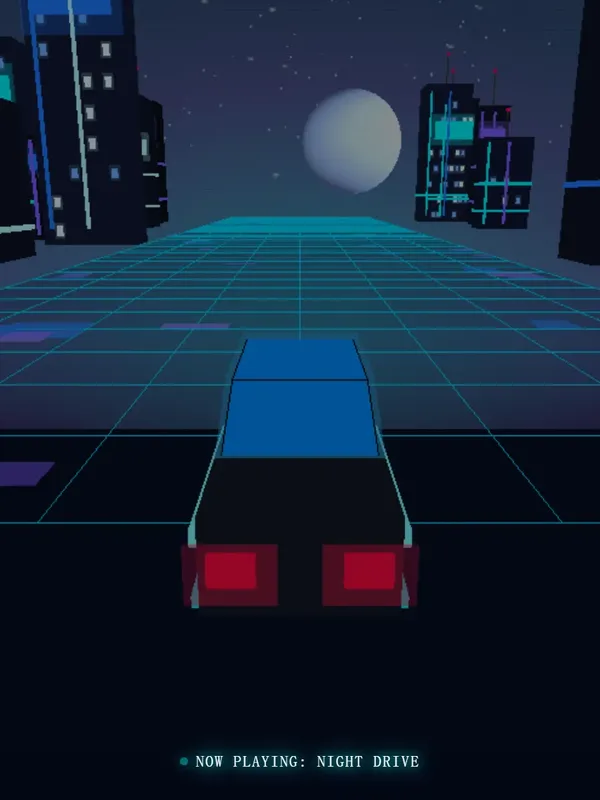 Nighttime car trip