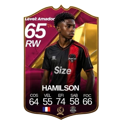 card do Hamilson