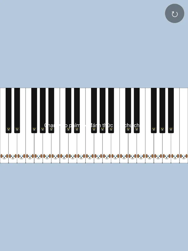 Piano-Dog
