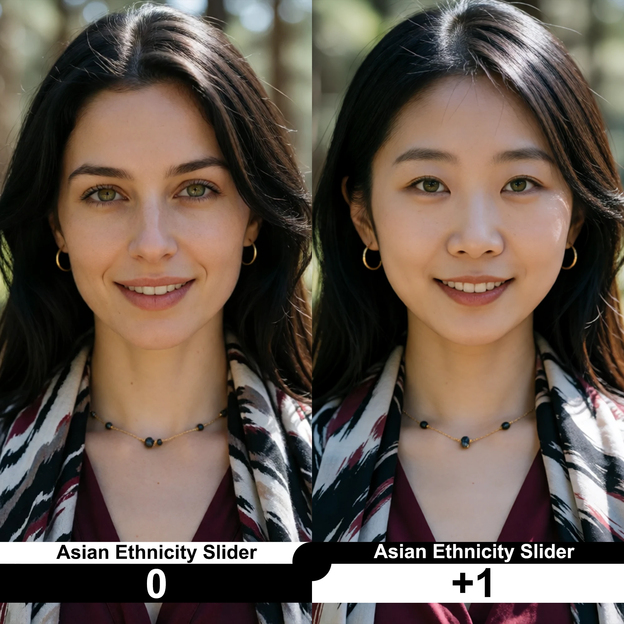 Asian Ethnicity Slider | Krea 2 V1