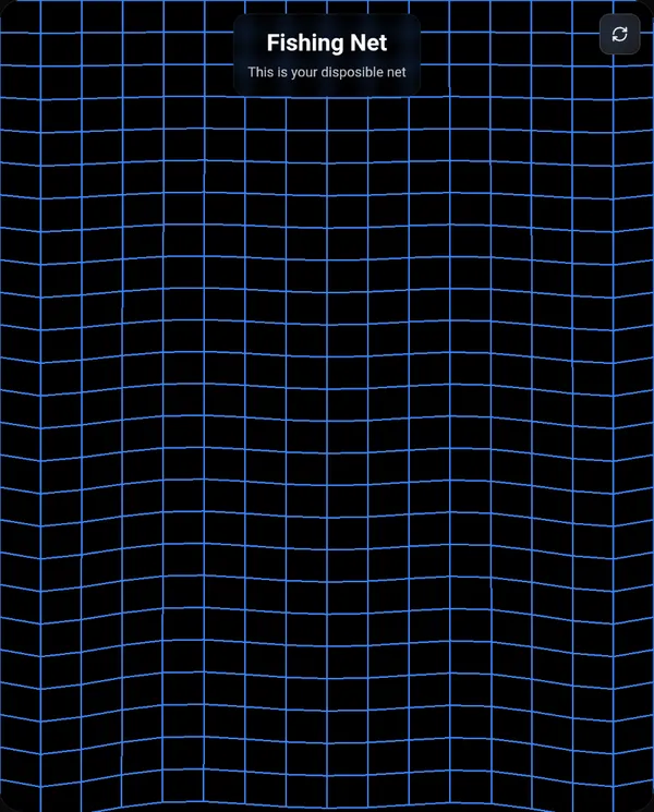 Fishing Net
