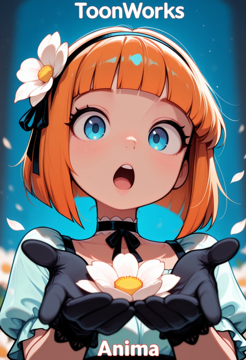 ToonWorks Anima v1