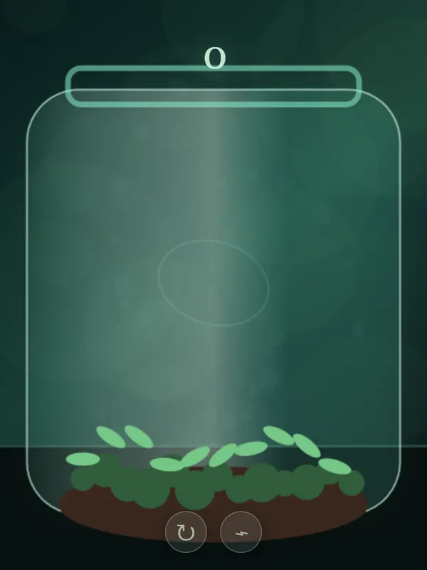 苔藓生态瓶·水雾循环