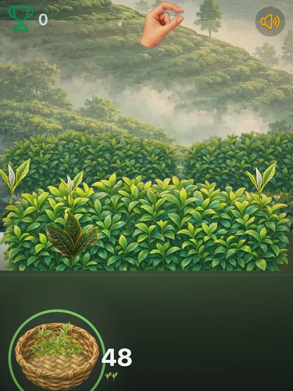 Tea Pick
