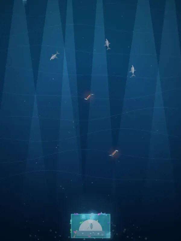 Ocean Claim