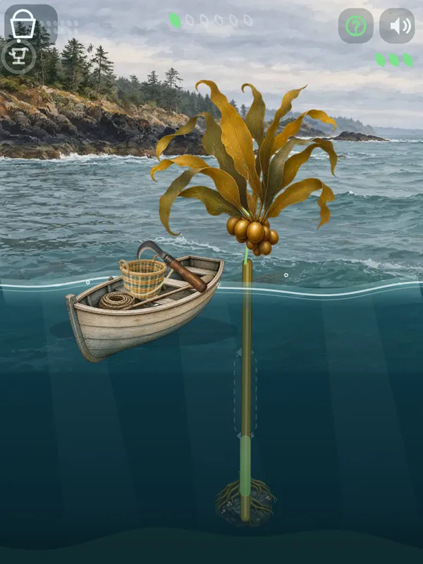 Kelp Harvest